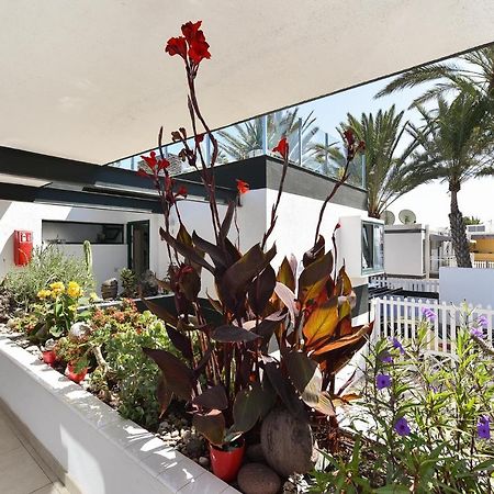 Maspalomas Beach Apartment Charca 1 エクステリア 写真